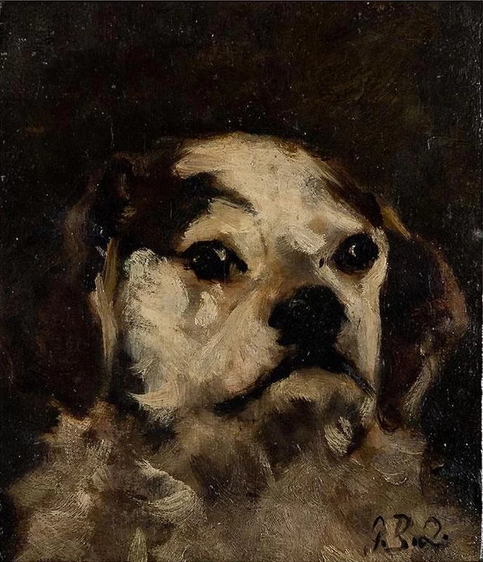Testa di cane